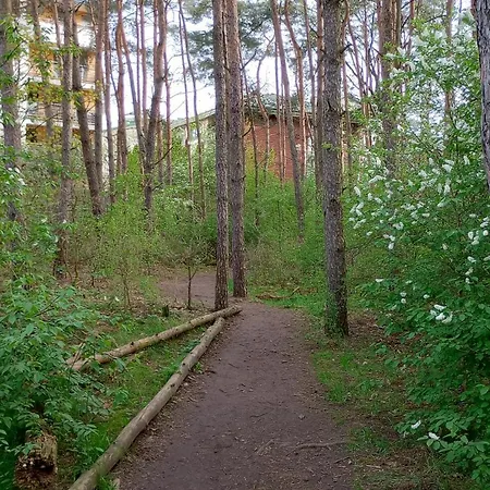 Comfort Private Odkryta Free Parking Wi-fi Balcony